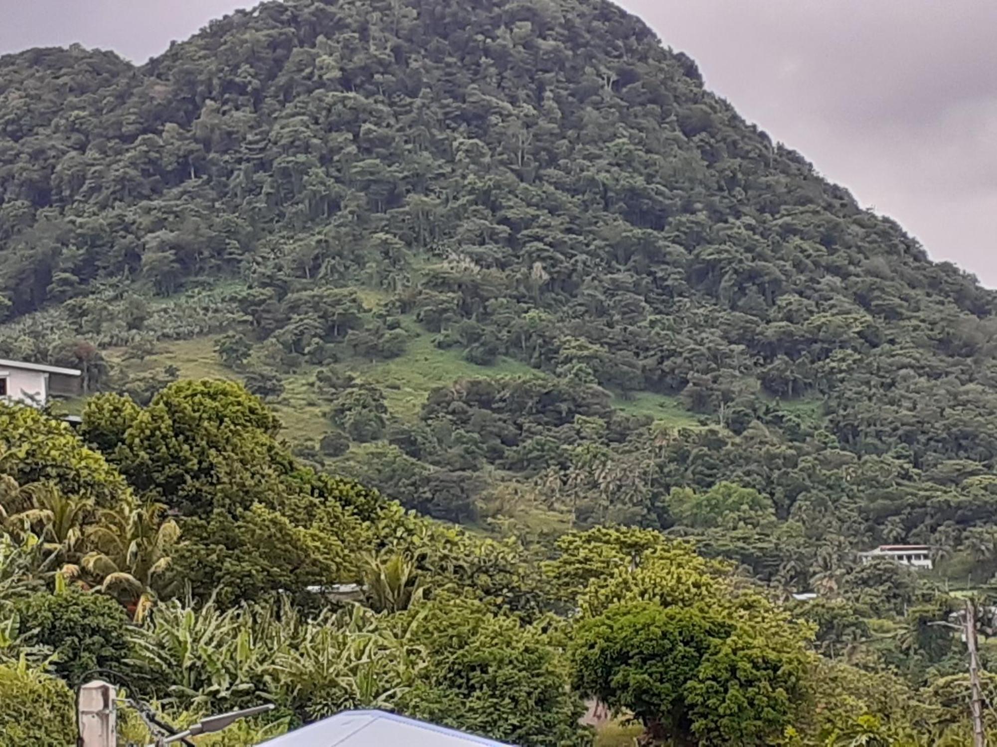 Awmony'Kaz, Gite A Trois-Rivieres Guadeloupe Exterior foto
